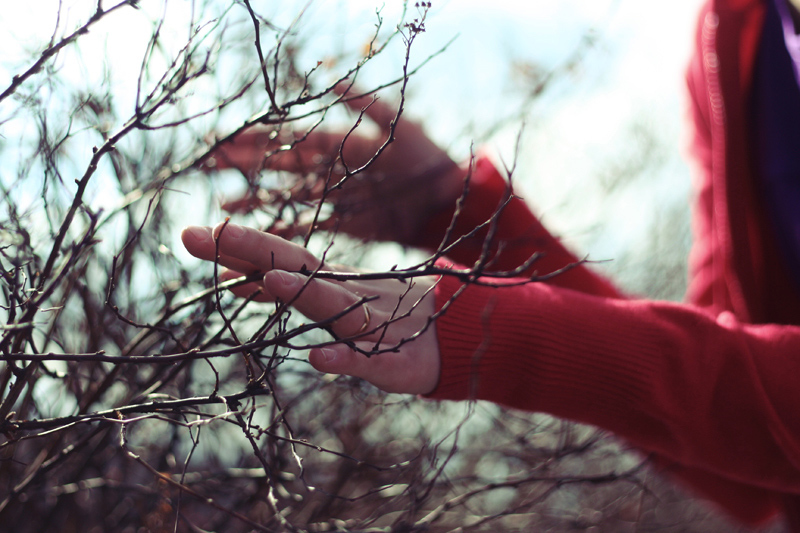 branches, girl and hands