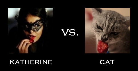 cat,  compare and  comparison