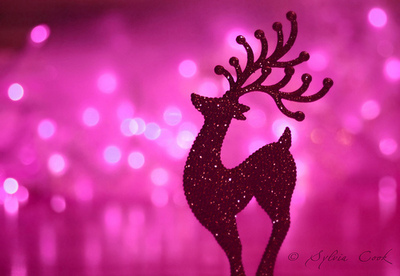 christmas,  new year and  pink