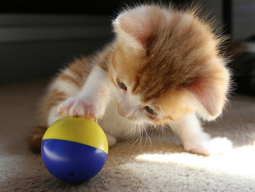 *-*, baby and ball