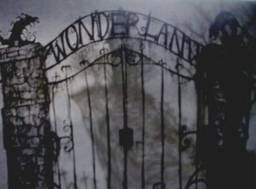 alice in wonderland, cate and gate