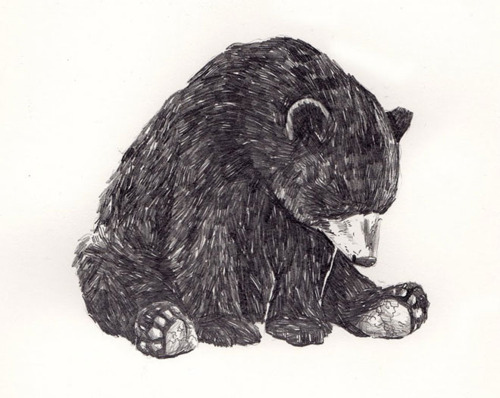 art, bear and black and white