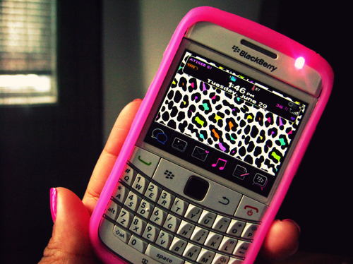 blackberry, leopard and music