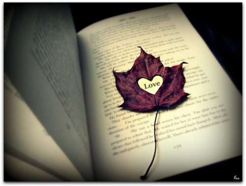 book, cute and leaf