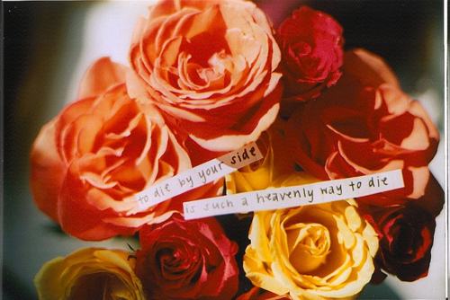 bouquet-film-flowers-love-words-Favim.co