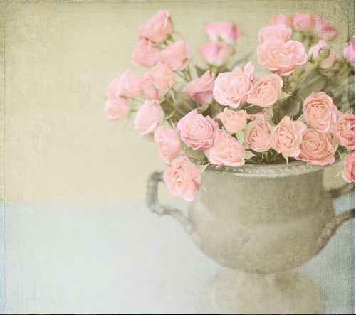 pastel, photography and pink