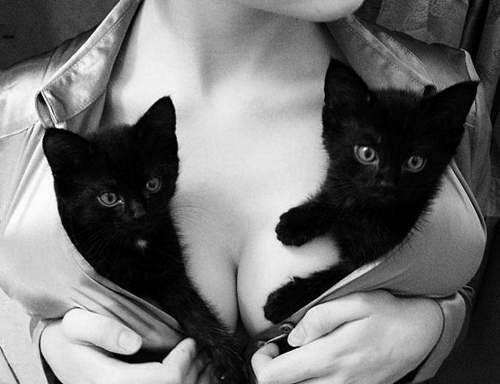2312,  black and white and  boobs