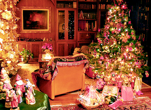 amazing, christmas tree and lights