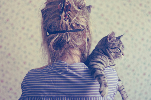 back, blonde and cat