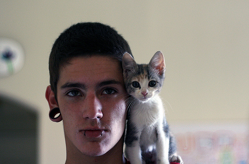 boy, ear stretching and katze