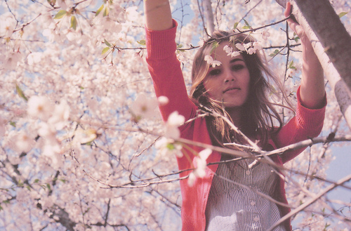cherry blossom, cute and girl