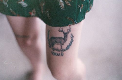 deer, legs and tattoo