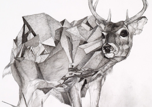 antler, antlers and art