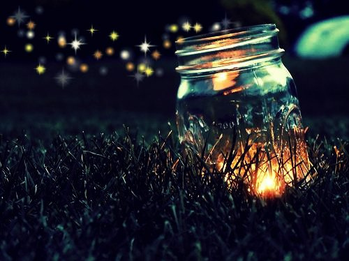 fairy, jar and light
