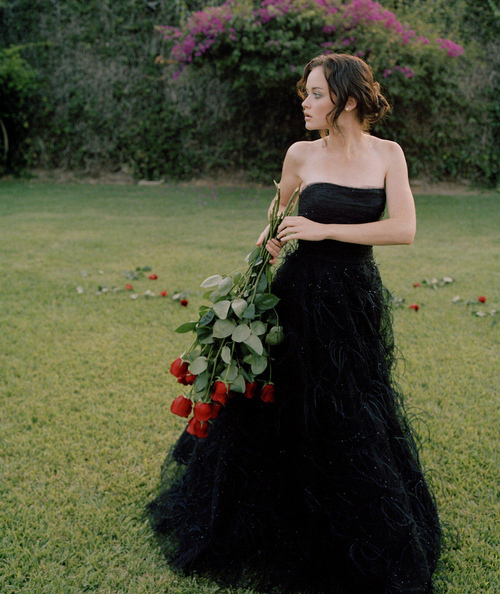 alexis bledel, gilmore girls and photography