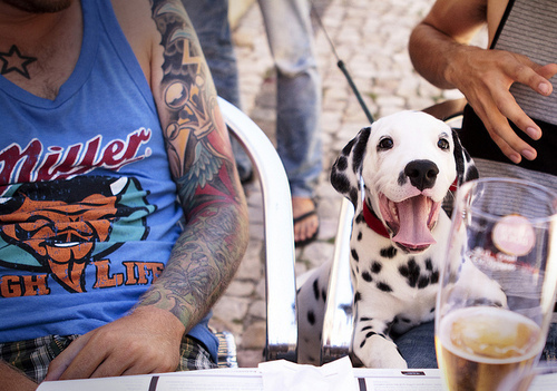 beer, boy and dog