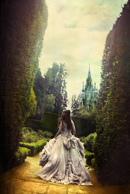 castle, dress and forest