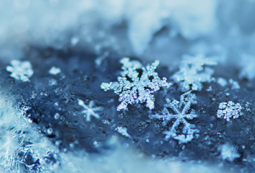 blue, snow, snowflake, winter