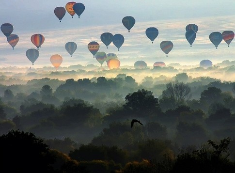 air balloons, landscape and photo