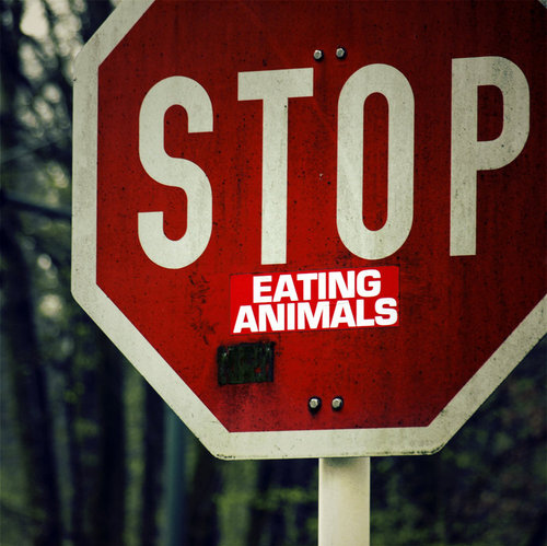 animals, eating and peta
