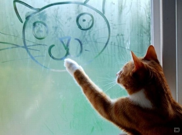 cat, cute and drawing