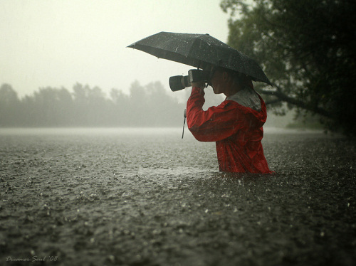 girl, photography and rain