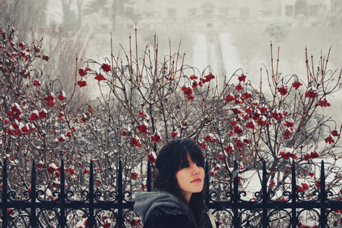 girl, roses and snow