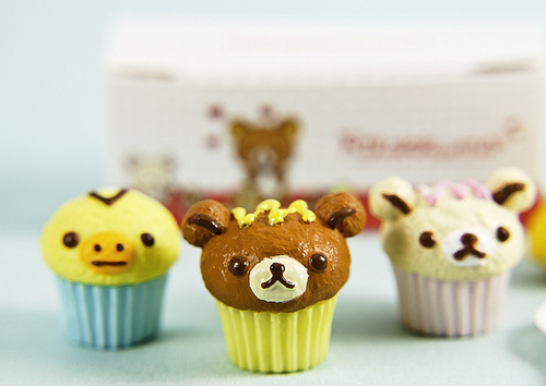 adorable, bear and cupcakes