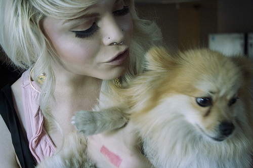blonde, chihuahua and fake lashes
