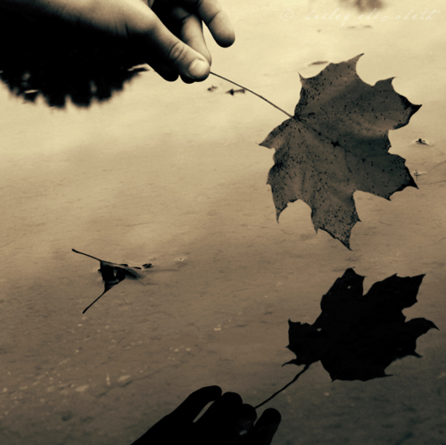 hand, leaf and photography