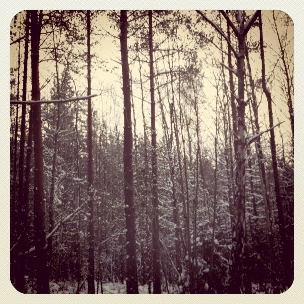 instagram, photography and snow