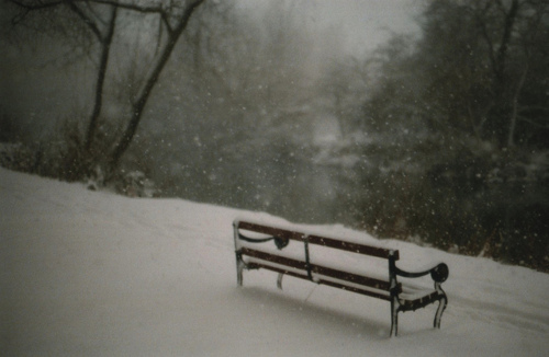 bench, christmas and lonely