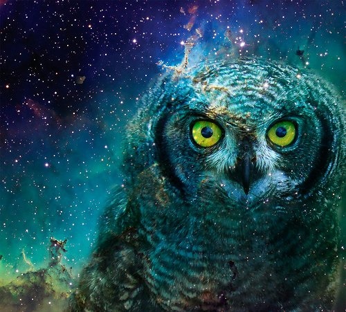 blue, galaxy and owl