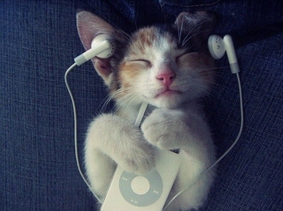 ipod,  kittens and  music