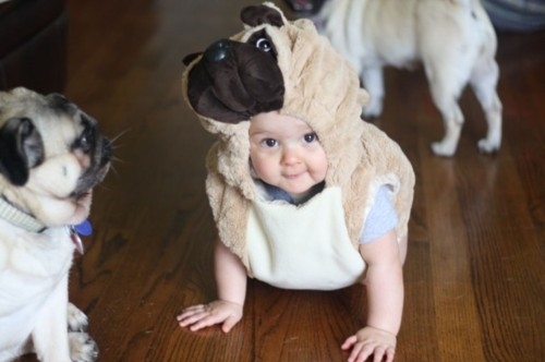 baby, costume and cute