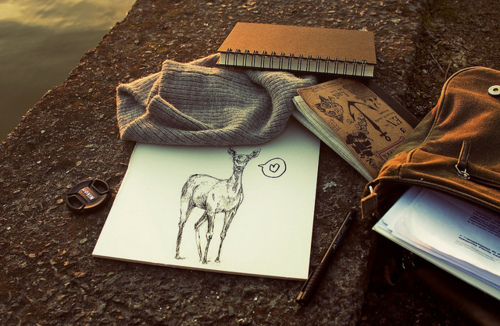 bag, book and deer