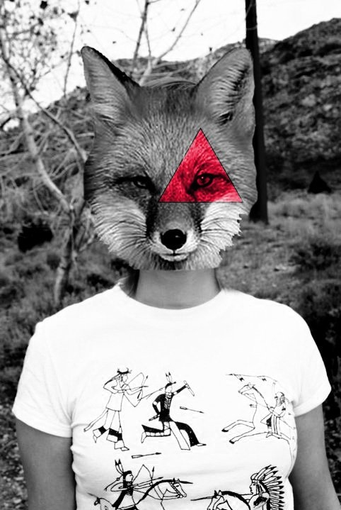 animal, animal head, black and white, forest, fox
