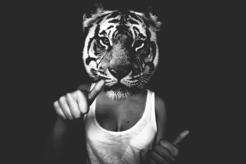 animal, black and white and hands