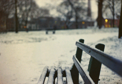 beautiful, bench and cold