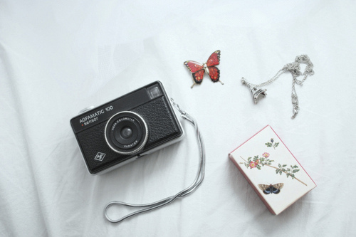 butterflies, camera and cute