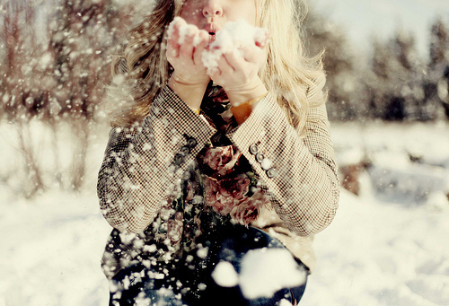christmas, floral and snow