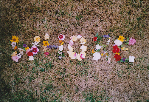 anna hatzakis, by anna hatzakis and floral