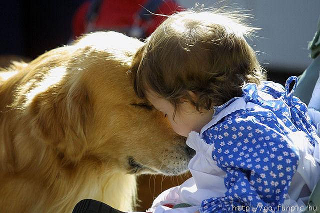 baby, cute and dog