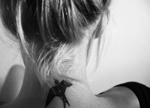 back, bird and black and white