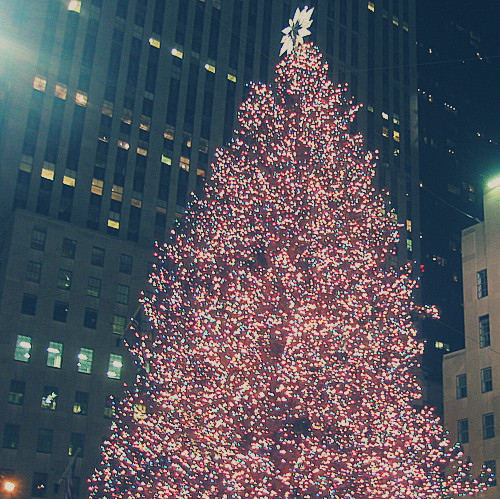 christmas, christmas tree and city
