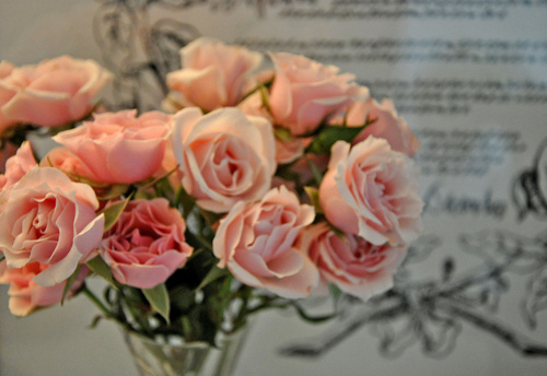 flowers, pink and pretty