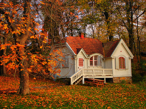 autumn, casa, cute, house, natureza