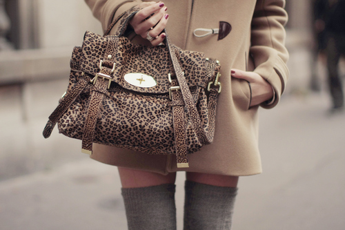 bag, fashion and leopard