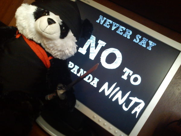 bear, funny and never say no to panda