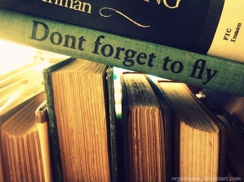 books, fly and photo